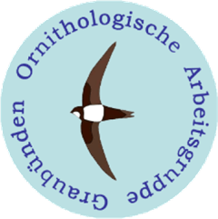 OAG-Logo