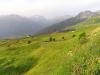 Schamser-Bergweiden